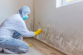 Best Black Mold Removal  in Mexia, TX